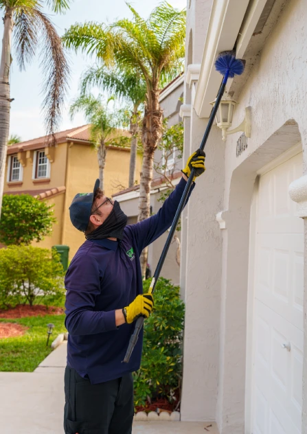 Pest Control Services