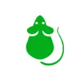 rodent